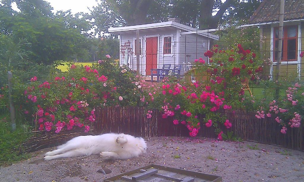 Borakra Bed & Breakfast Карлскруна Экстерьер фото